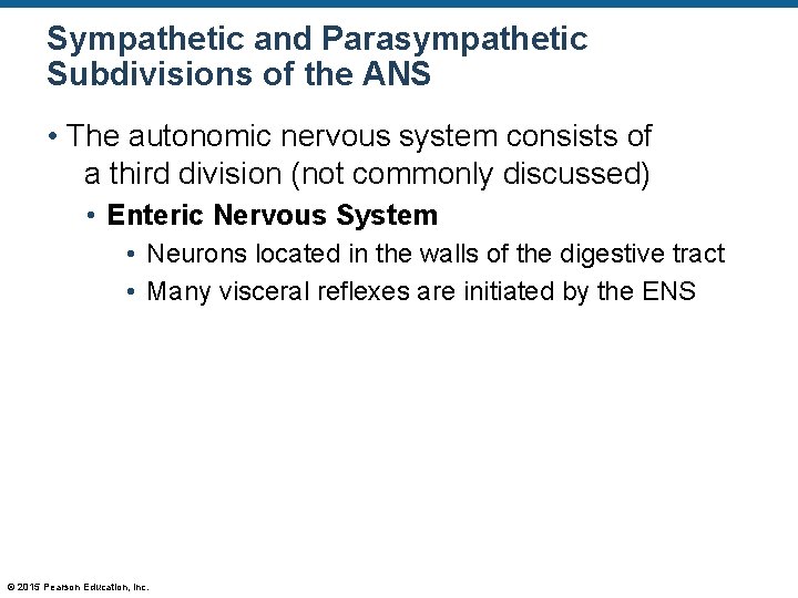 Sympathetic and Parasympathetic Subdivisions of the ANS • The autonomic nervous system consists of