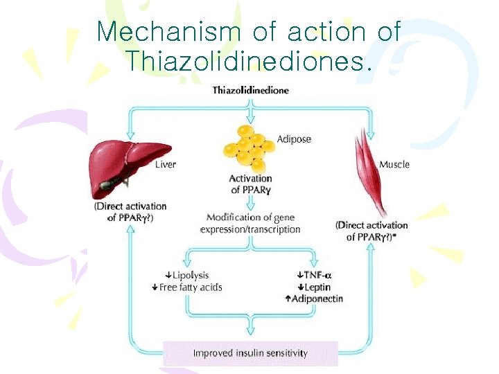 Mechanism of action of Thiazolidinediones. 