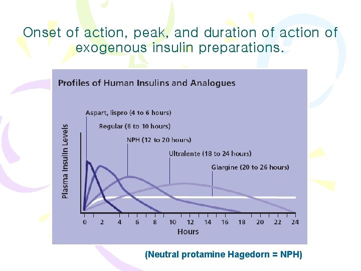 Onset of action, peak, and duration of action of exogenous insulin preparations. (Neutral protamine