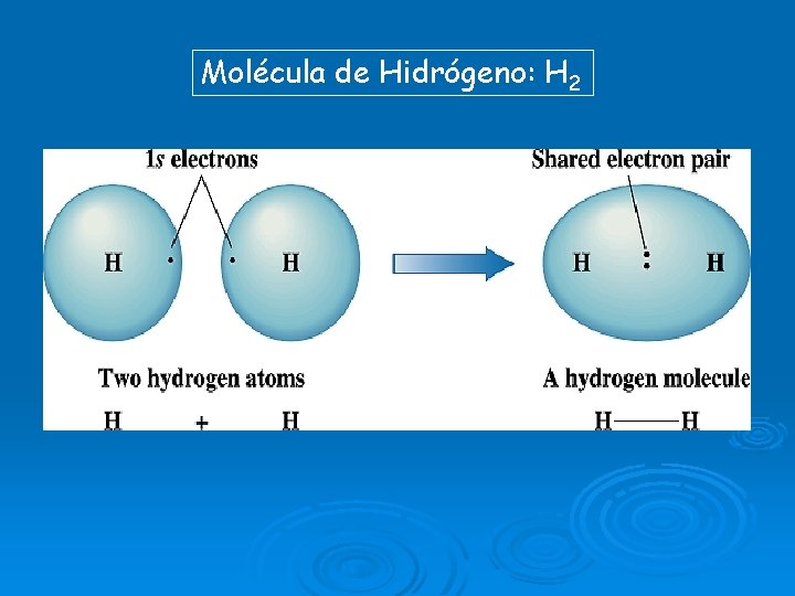 Molécula de Hidrógeno: H 2 