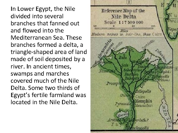 In Lower Egypt, the Nile divided into several branches that fanned out and flowed