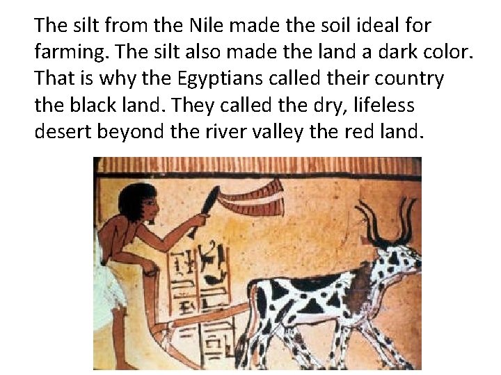 The silt from the Nile made the soil ideal for farming. The silt also