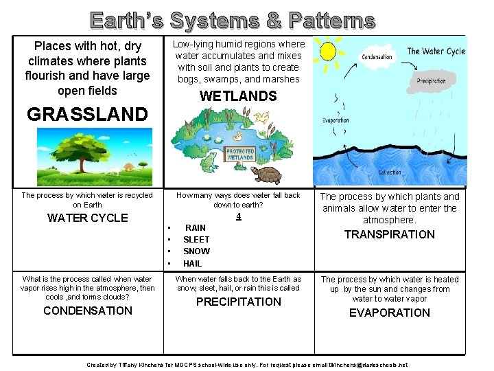 Earth’s Systems & Patterns Low-lying humid regions where water accumulates and mixes with soil