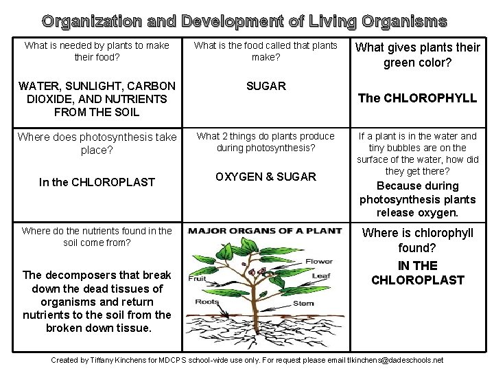 Organization and Development of Living Organisms What is needed by plants to make their