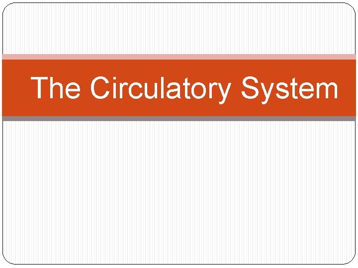 The Circulatory System The Circulatory System