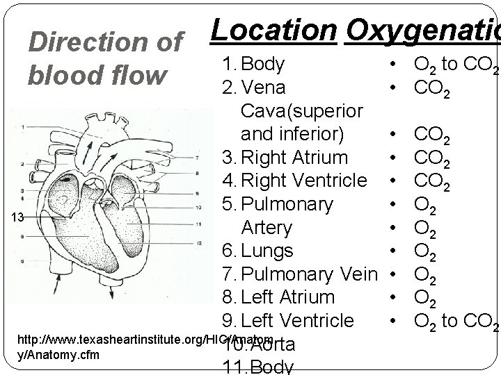 Location Oxygenatio Direction of 1. Body blood flow 2. Vena Cava(superior and inferior) 3. Location Oxygenatio Direction of 1. Body blood flow 2. Vena Cava(superior and inferior) 3.