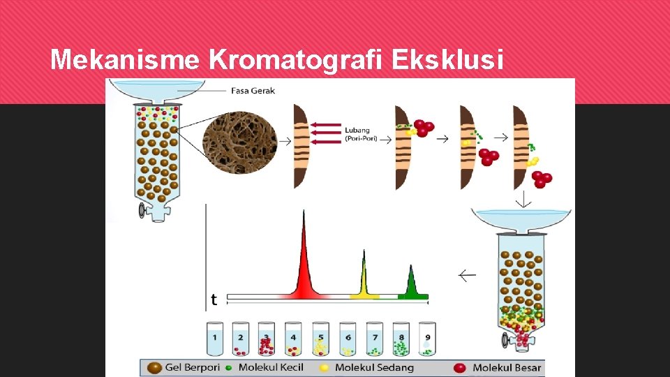 Mekanisme Kromatografi Eksklusi 