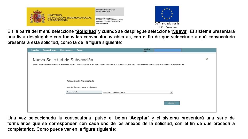 Cofinanciado por la Unión Europea En la barra del menú seleccione ‘Solicitud’ y cuando