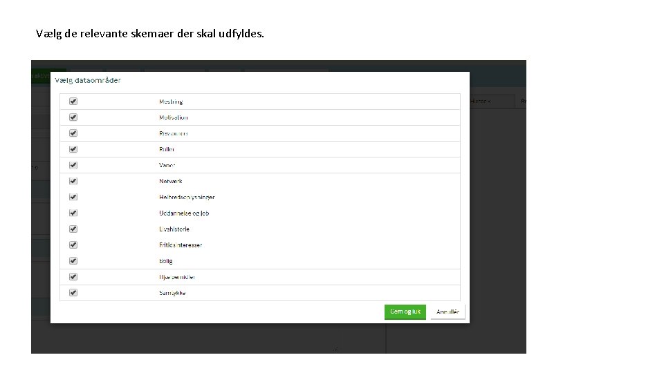 Vælg de relevante skemaer der skal udfyldes. 
