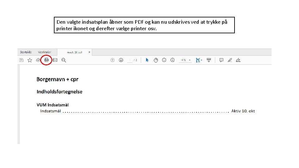 Den valgte indsatsplan åbner som PDF og kan nu udskrives ved at trykke på