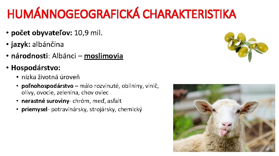 HUMÁNNOGEOGRAFICKÁ CHARAKTERISTIKA • počet obyvateľov: 10, 9 mil. • jazyk: albánčina • národnosti: Albánci