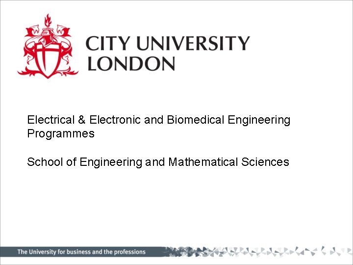 Electrical & Electronic and Biomedical Engineering Programmes School of Engineering and Mathematical Sciences 