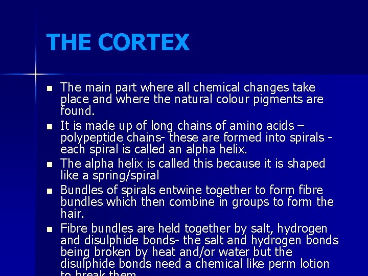 THE CORTEX n n n The main part where all chemical changes take place