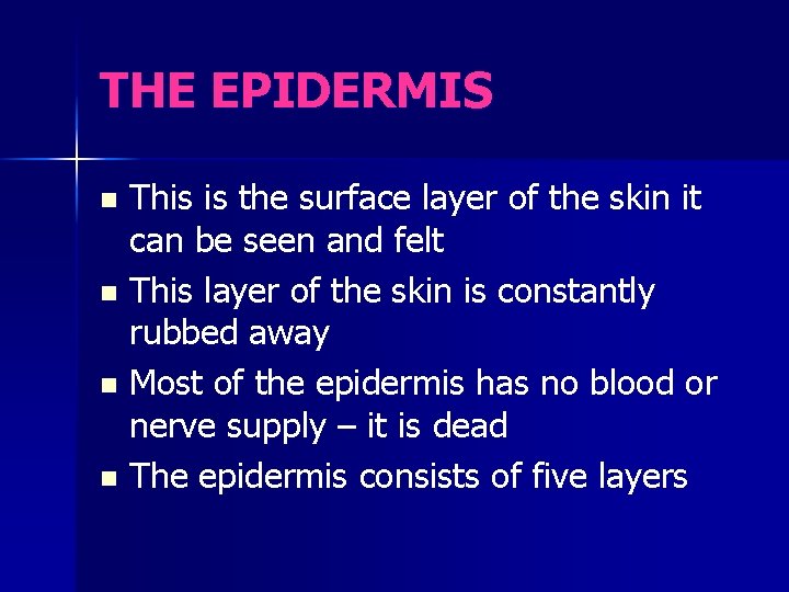 THE EPIDERMIS This is the surface layer of the skin it can be seen