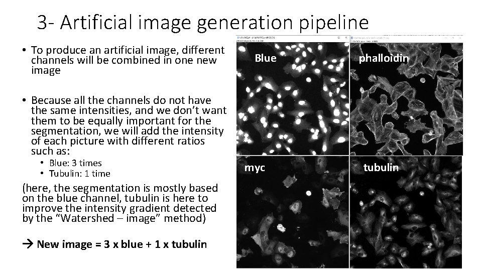 Task 3 Artificial image generation pipeline 3 Content