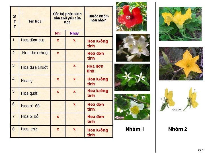 S T T Tên hoa Các bộ phận sinh sản chủ yếu của hoa