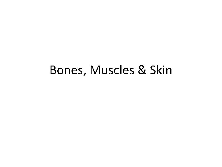 Bones, Muscles & Skin 