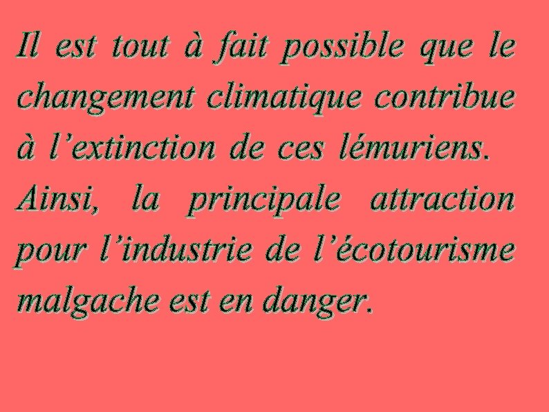 Il est tout à fait possible que le changement climatique contribue à l’extinction de