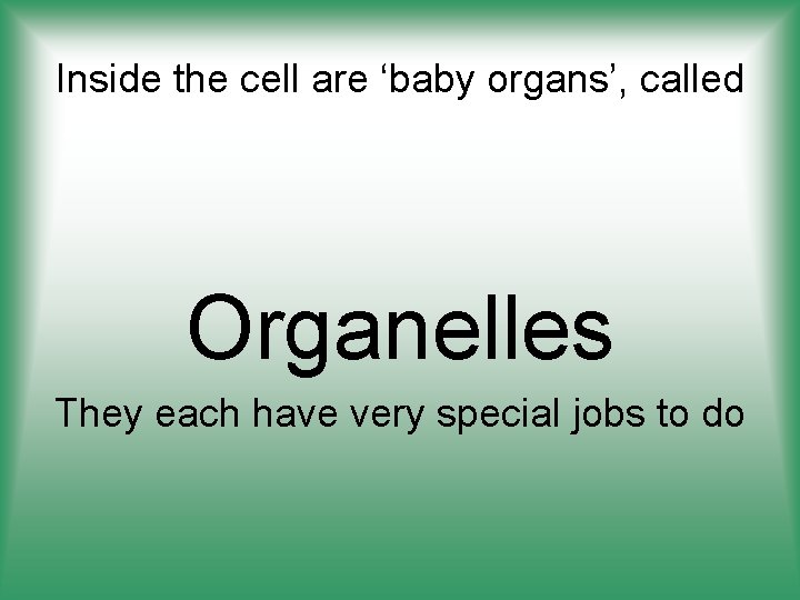 Inside the cell are ‘baby organs’, called Organelles They each have very special jobs