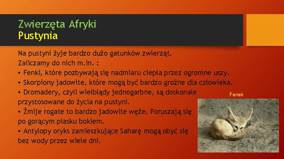 Zwierzęta Afryki Pustynia Na pustyni żyje bardzo dużo gatunków zwierząt. Zaliczamy do nich m.