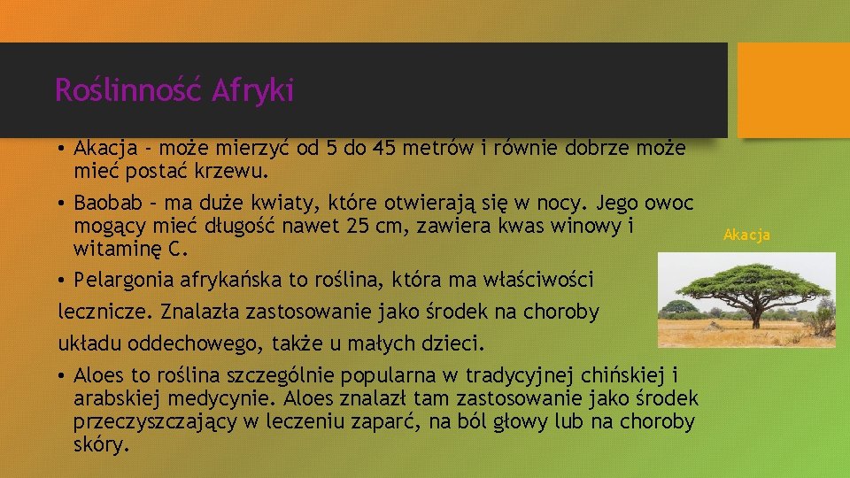 Roślinność Afryki • Akacja - może mierzyć od 5 do 45 metrów i równie