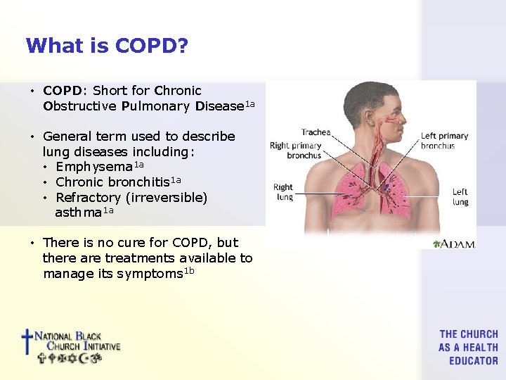 What is COPD? • COPD: Short for Chronic Obstructive Pulmonary Disease 1 a •