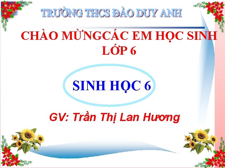 CHÀO MỪNGCÁC EM HỌC SINH LỚP 6 SINH HỌC 6 GV: Trần Thị Lan