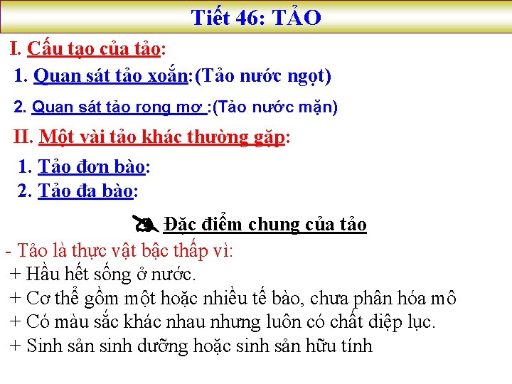 Tiết 46: TẢO I. Cấu tạo của tảo: 1. Quan sát tảo xoắn: (Tảo