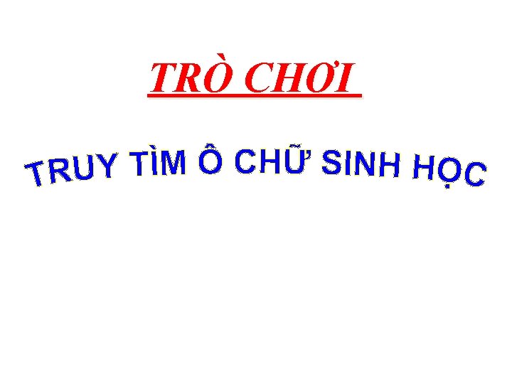 TRÒ CHƠI 