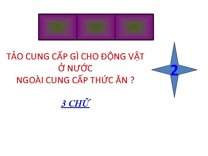 TẢO CUNG CẤP GÌ CHO ĐỘNG VẬT Ở NƯỚC NGOÀI CUNG CẤP THỨC ĂN