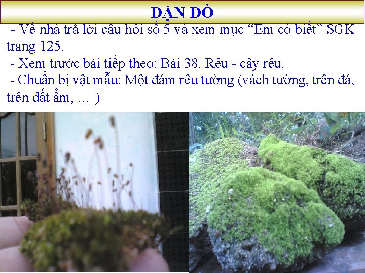 DẶN DÒ - Về nhà trả lời câu hỏi số 5 và xem mục