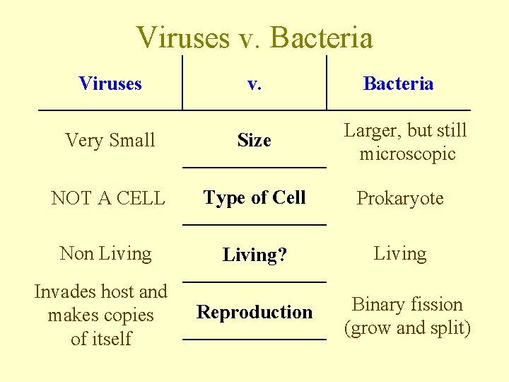 Viruses v. Bacteria Viruses v. Bacteria Very Small Size Larger, but still microscopic NOT