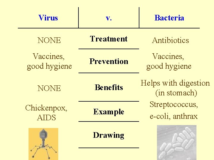 Virus v. Bacteria NONE Treatment Antibiotics Prevention Vaccines, good hygiene NONE Chickenpox, AIDS Benefits