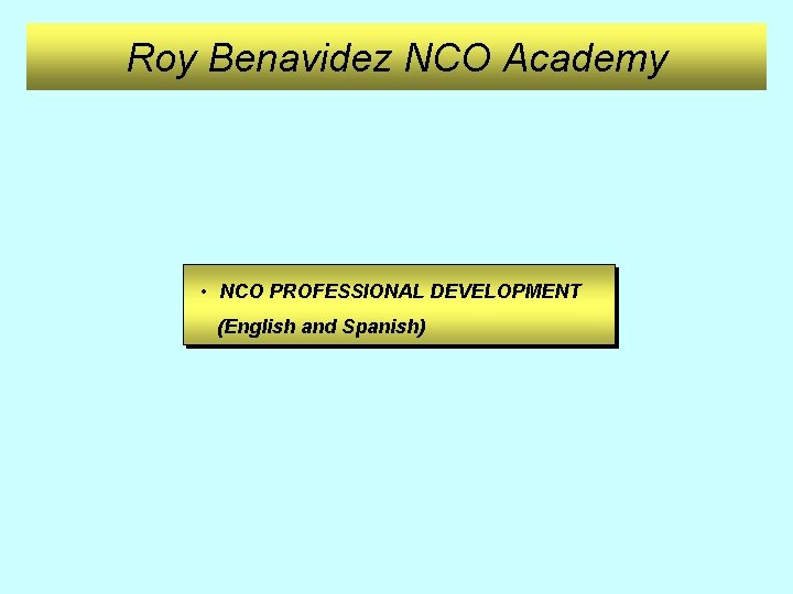 Roy Benavidez NCO Academy • NCO PROFESSIONAL DEVELOPMENT (English and Spanish) 