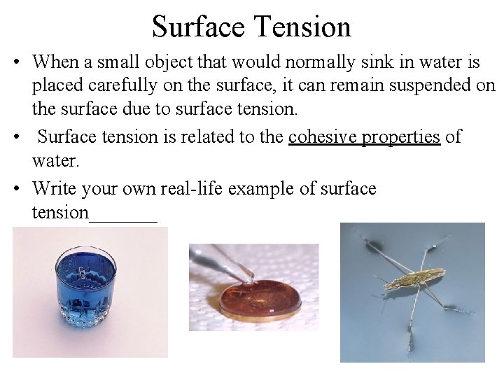 Surface Tension • When a small object that would normally sink in water is