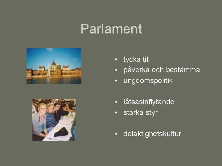 Parlament • tycka till • påverka och bestämma • ungdomspolitik • låtsasinflytande • starka