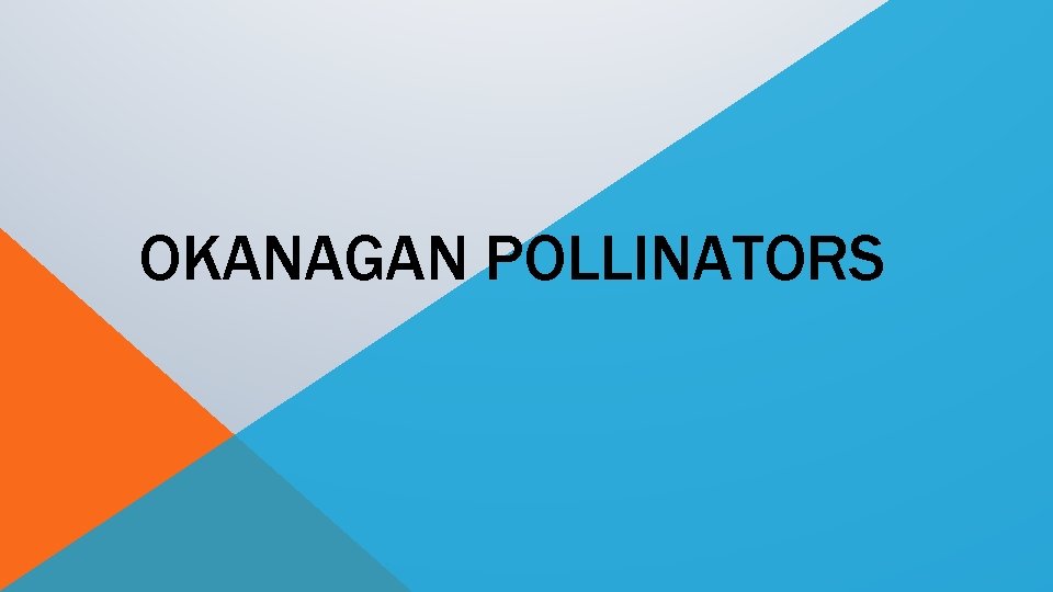 OKANAGAN POLLINATORS 