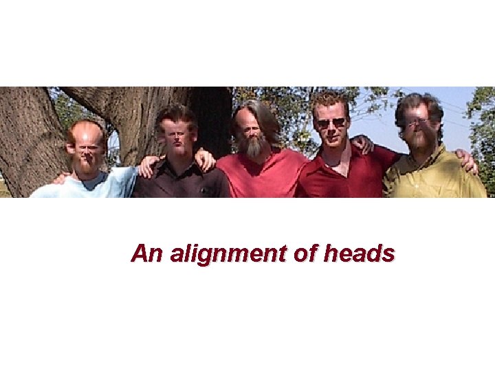 An alignment of heads 