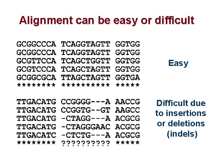 Alignment can be easy or difficult Easy Difficult due to insertions or deletions (indels)