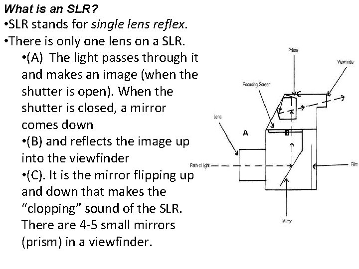 What is an SLR? • SLR stands for single lens reflex. • There is