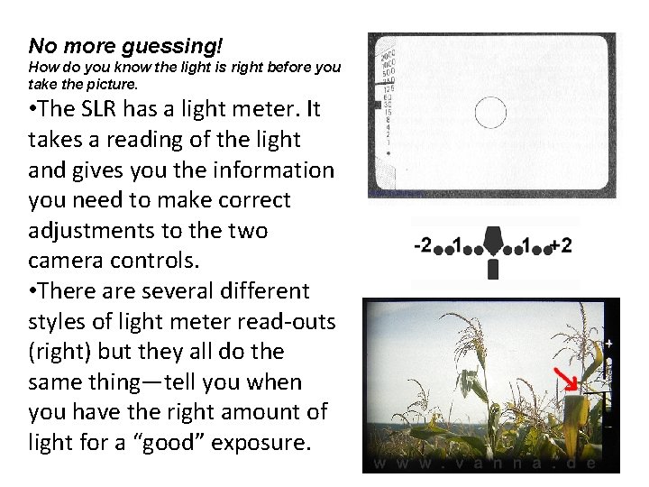 No more guessing! How do you know the light is right before you take
