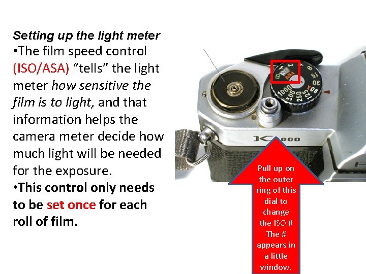 Setting up the light meter • The film speed control (ISO/ASA) “tells” the light
