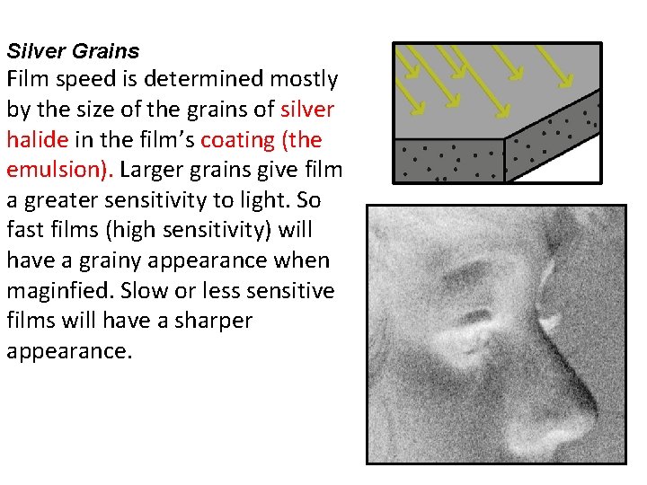 Silver Grains Film speed is determined mostly by the size of the grains of