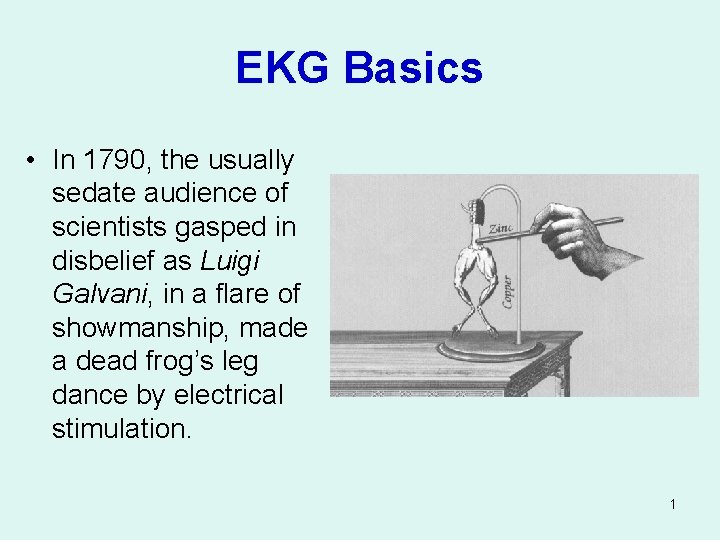 EKG Basics • In 1790, the usually sedate audience of scientists gasped in disbelief