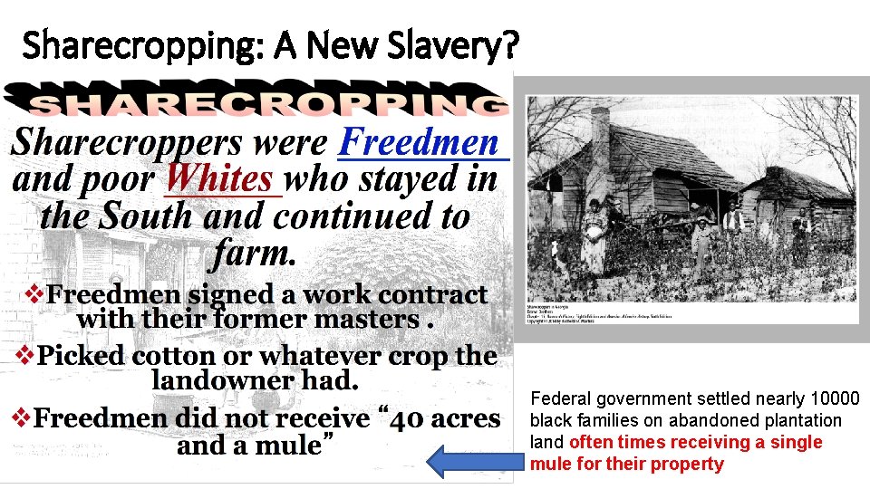 Sharecropping: A New Slavery? Federal government settled nearly 10000 black families on abandoned plantation