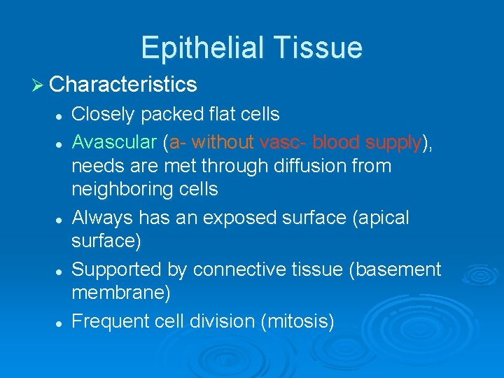 Epithelial Tissue Ø Characteristics l l l Closely packed flat cells Avascular (a- without