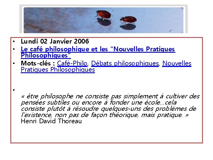  • Lundi 02 Janvier 2006 • Le café philosophique et les "Nouvelles Pratiques