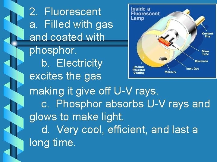 2. Fluorescent a. Filled with gas and coated with phosphor. b. Electricity excites the