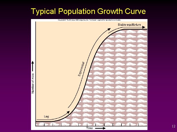 Typical Population Growth Curve 12 