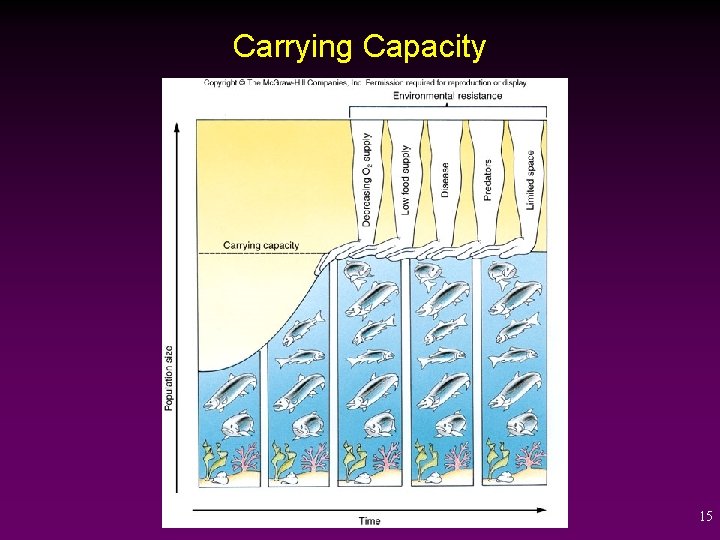 Carrying Capacity 15 